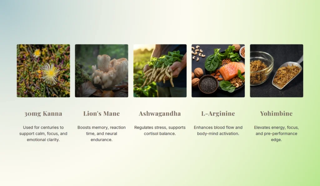AkinKanna Nootropic Strips Ingredients