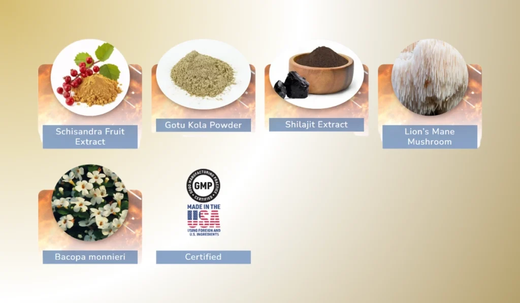 CogniSurge Ingredients