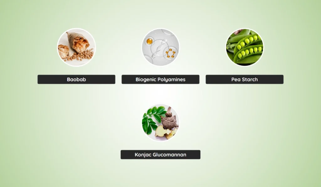 DigestSync Ingredients
