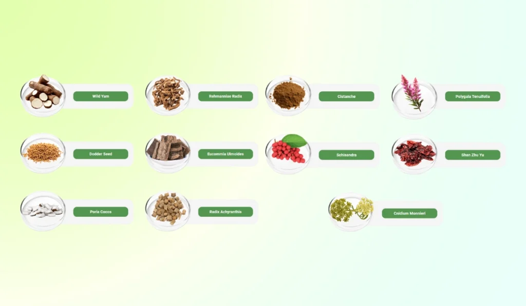 DigestiStart Ingredients
