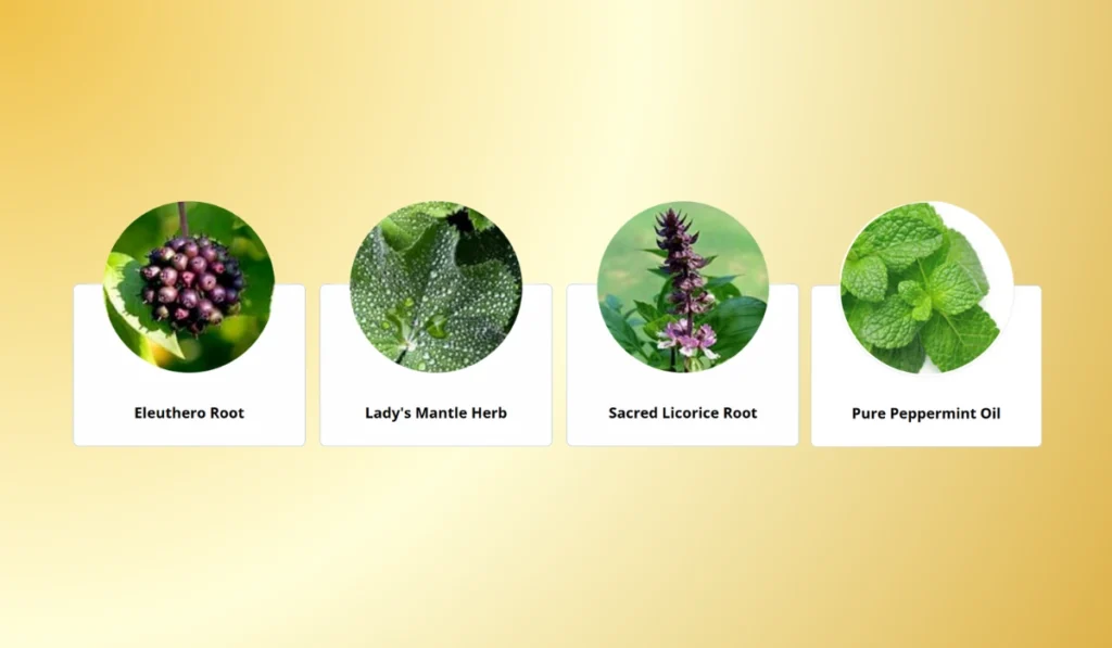 Enki Elixir Ingredients