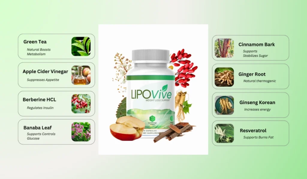 Lipovive Ingredients