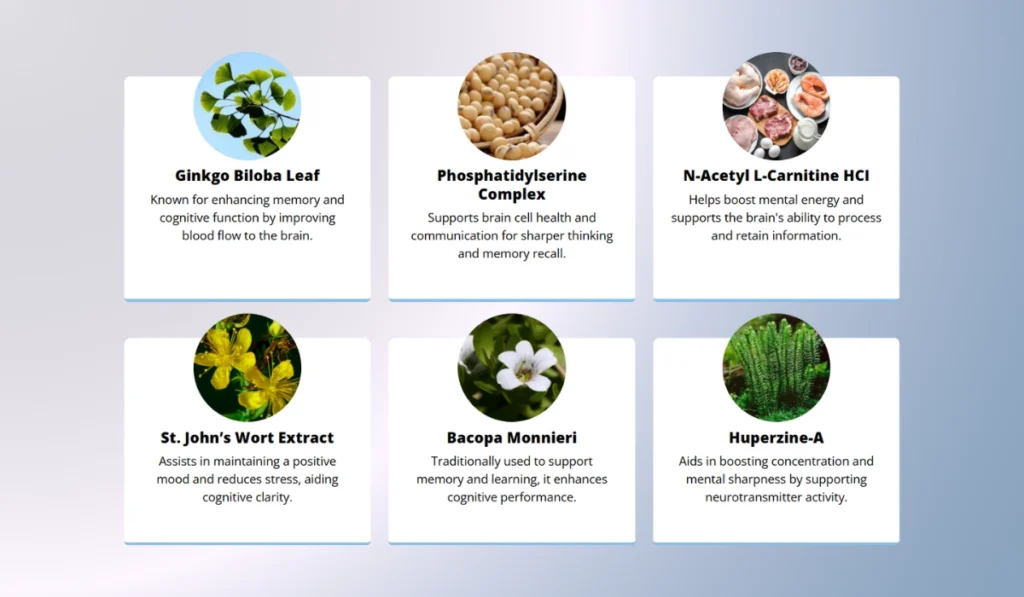 MemoForce Ingredients