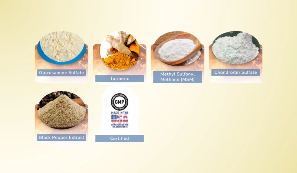 MoveWell Daily Ingredients
