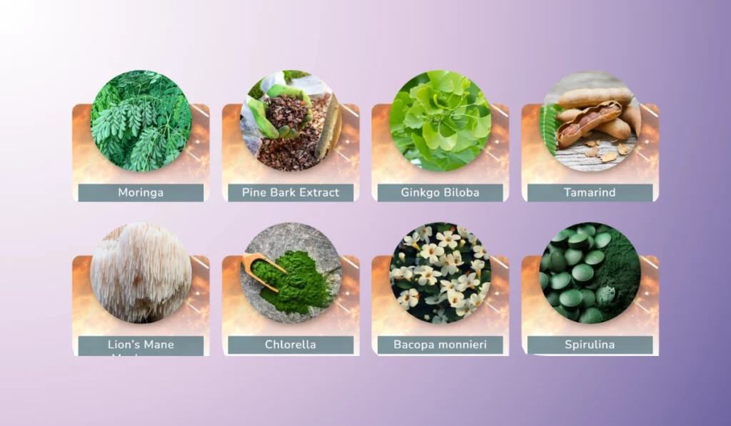 Neuroprime Ingredients