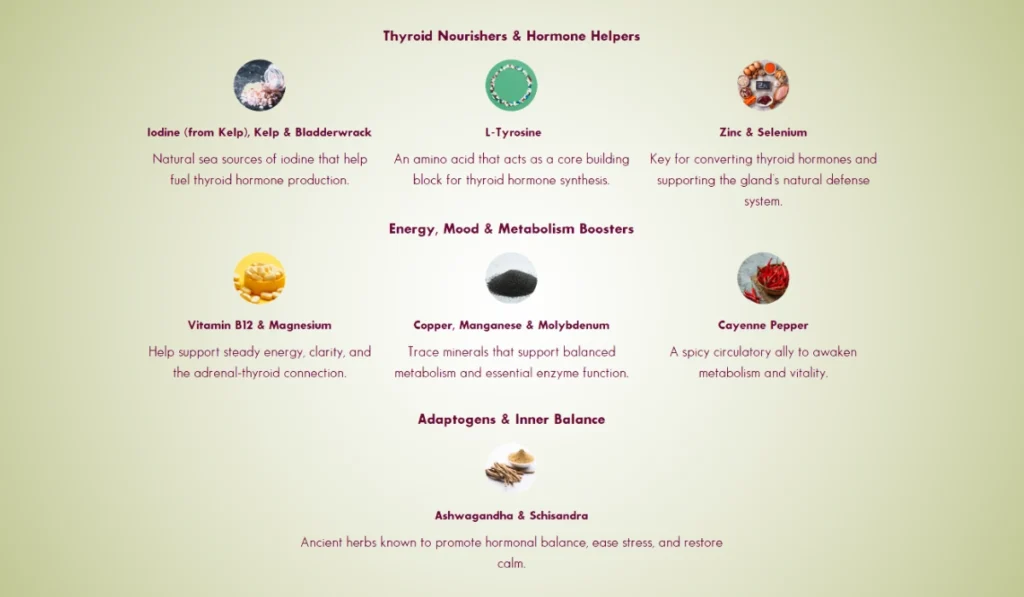 Thyrafemme Balance Ingredients