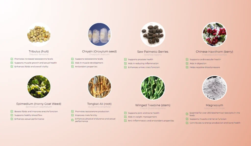 Erectonol Ingredients