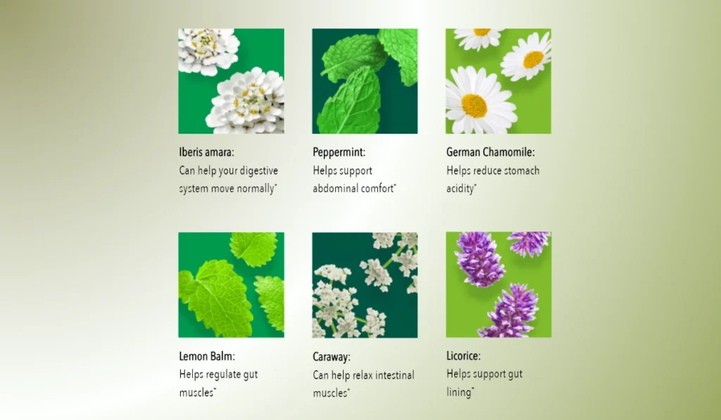 Iberogast Ingredients