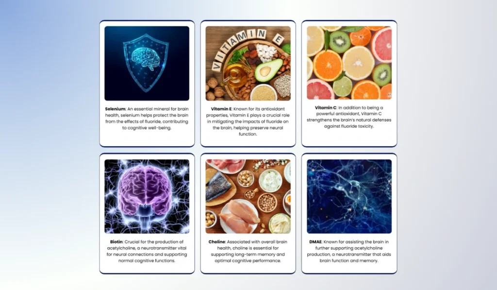 Memory Lift ingredients