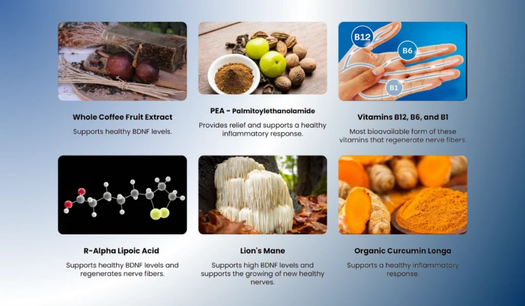 Nu Nerve Ingredients
