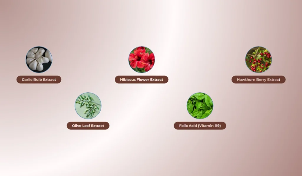 PillowPotion Ear Health Formula Ingredients