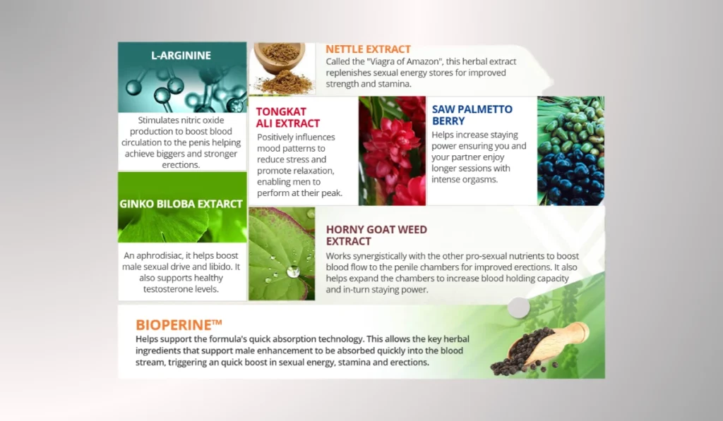 PillowPotion Ephoric Pro Ingredients