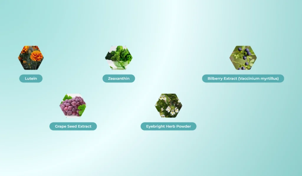 PillowPotion Vision Ingredients